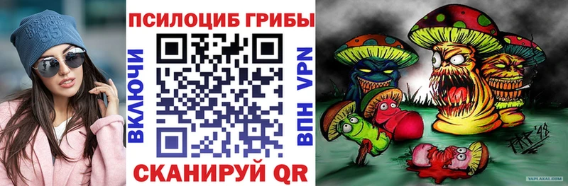 даркнет сайт  Бирюч  Псилоцибиновые грибы GOLDEN TEACHER 